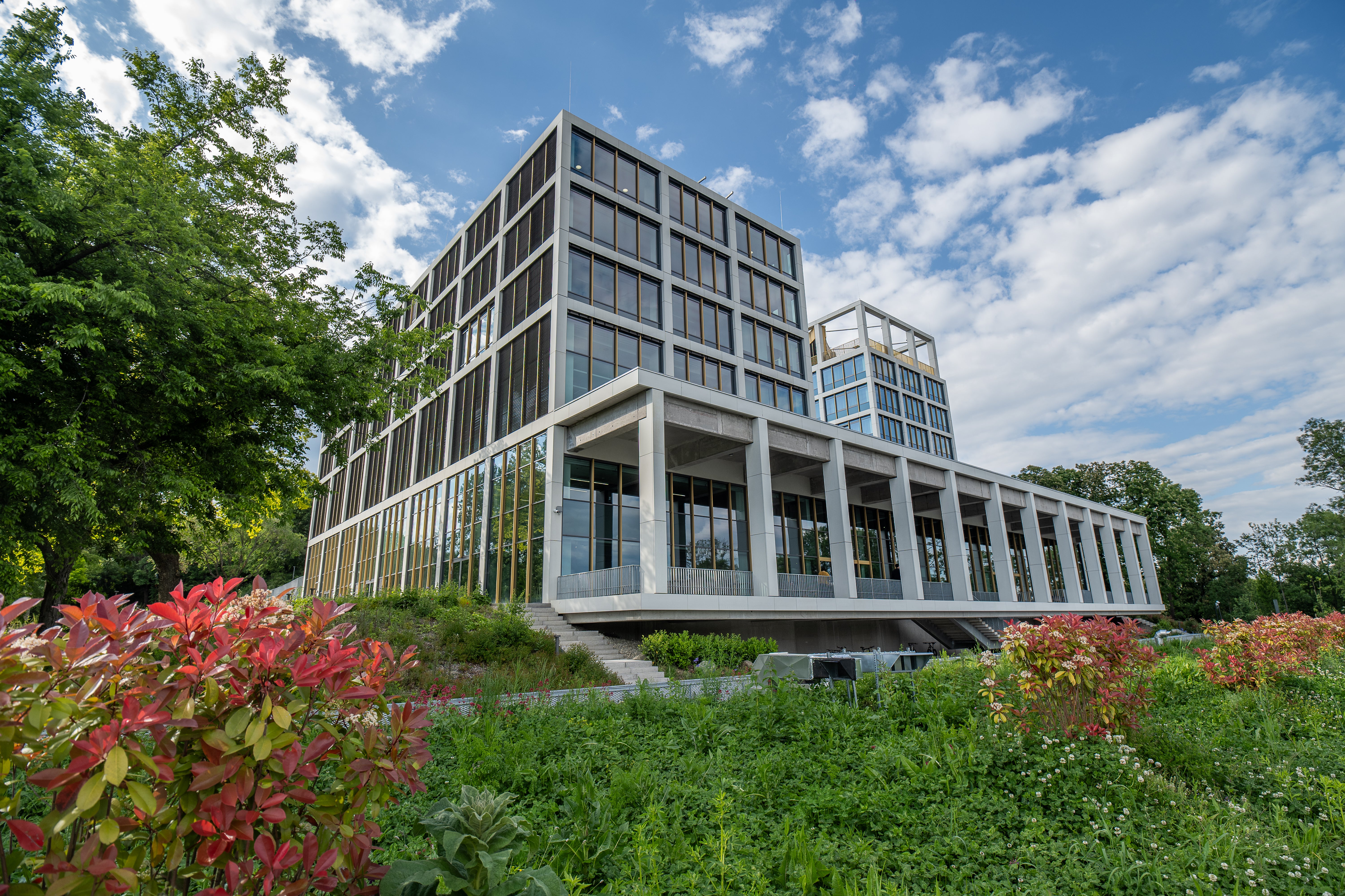 Budapesti Corvinus Egyetem