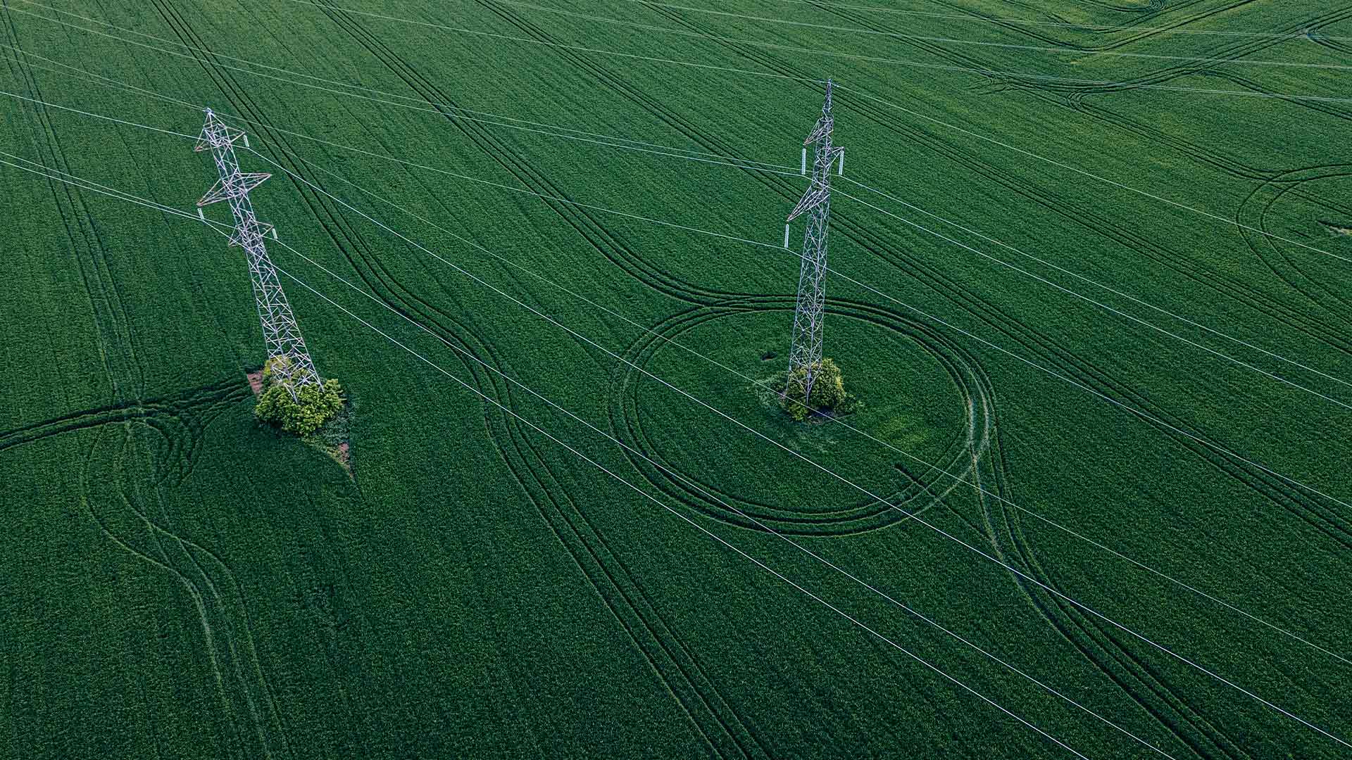 Budapesti Corvinus Egyetem