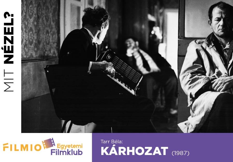 Budapesti Corvinus Egyetem