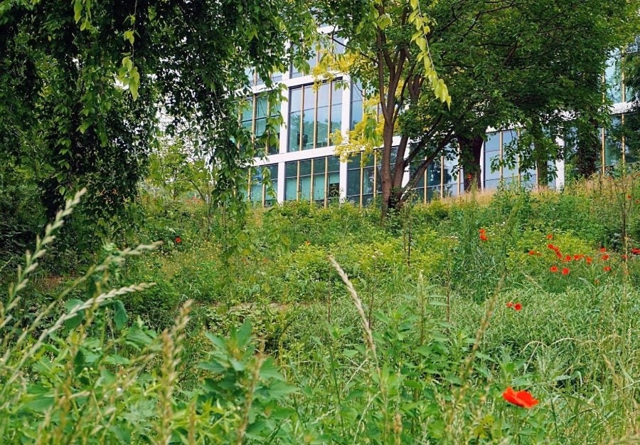 Budapesti Corvinus Egyetem